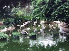 -九龙公园