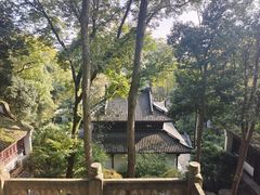 -虎跑公园