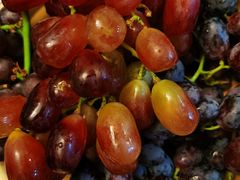 -绝味鸭脖(水碾河店)