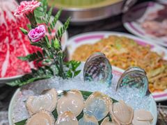 -禄婶鸡煲·打边炉