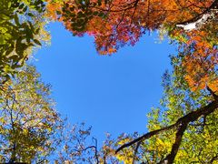 -叠溪松坪沟景区