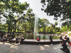 -九龙公园