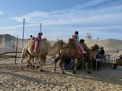-库伦旗银沙湾旅游景区