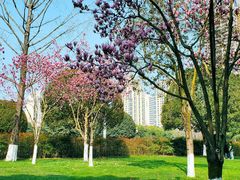 -重庆中央公园(渝北区)