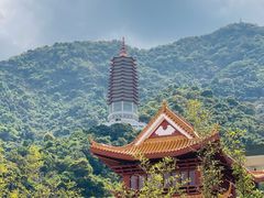 -深圳仙湖植物园