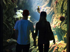 -瑞普利水族馆