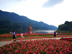-广州市石门国家森林公园
