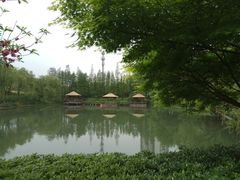 -圩墩遗址公园