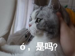 -麦当劳(北京路广百广场店)