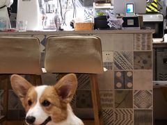 -Oasis coffee燕谷咖啡(公信店)