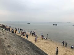 -北海金海湾红树林生态旅游区