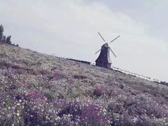-紫颐香薰山谷景区