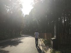 -石家庄市植物园