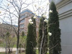 -渤海大学(松山校区)