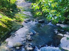 -祁门牯牛降观音堂风景区