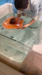 -广州安和泰医学月子会所