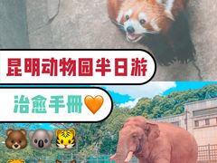 -昆明动物园