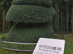 -苏州河梦清园环保主题公园