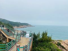 -广东惠东海龟国家级自然保护区