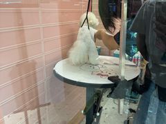 -FAELING PETS美天灵宠物(合生汇店)