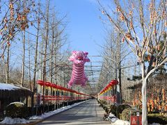 -南宫五洲植物乐园