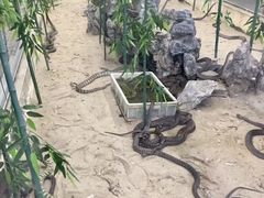 -荔城生鲜盛宴(番禺旗舰店)