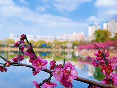 -食膳公园包子铺(烈士公园店)