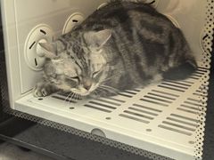 -FAELING PETS美天灵宠物(富力广场店)