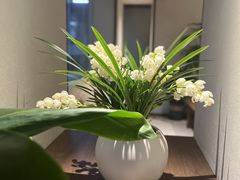 -清涟·足浴·spa·养生馆(重庆天地店)