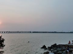 -宝安西湾红树林湿地公园