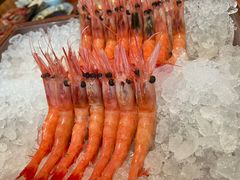 -月龍吟(朝龙汇店)