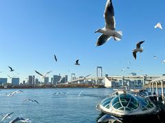 -台场海滨公园船码头