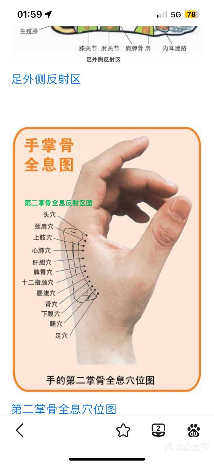 全息疗法湿症辩证