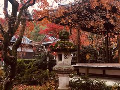 -常寂光寺