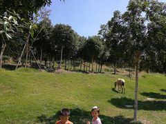 -武汉紫薇都市田园