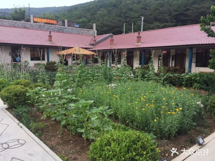 香木香羊(西郊店)--环境图片-大连美食-大众点评网