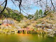-醍醐寺
