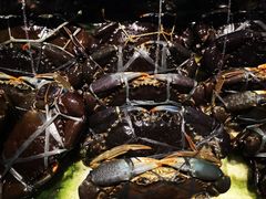 -Isla Sugbu Seafood City