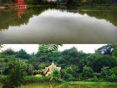 -曼听御花园