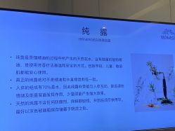-奥斯芬欧系贵族SPA
