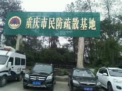 -铁山坪森林公园