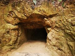 -上海佘山国家森林公园天马山园