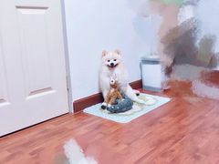 -鑫雅居公寓(广州南站地铁站店)