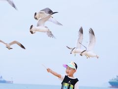 -海驴岛(荣成市)