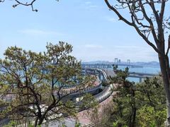 -星海湾跨海大桥