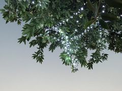 -鹅公村·国家非遗传承(荔湾店)