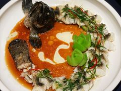 游龙石斑鱼-馋遇江南·精致湖景雅宴(东方之门店)