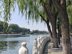 -后海公园