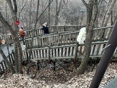 -帽儿山国家森林公园