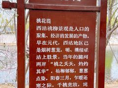 -桃花堤公园